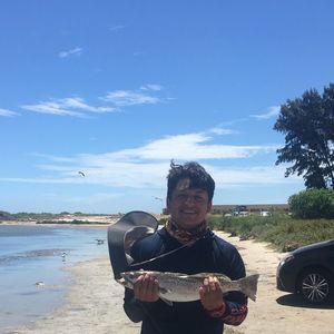 Meet your Posher, Nick